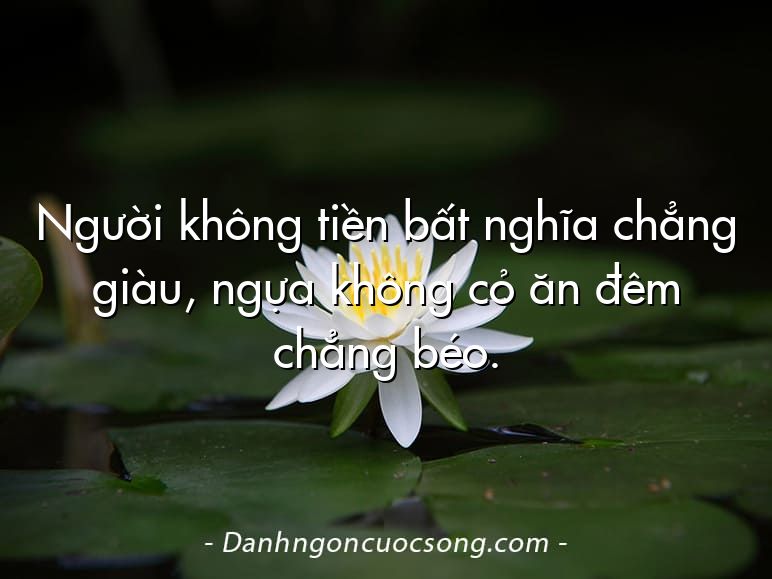 Người không tiền bất nghĩa chẳng giàu, ngựa không cỏ ăn đêm chẳng béo.
