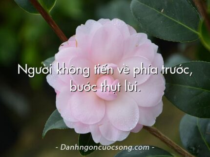 Người không tiến về phía trước, bước thụt lùi.