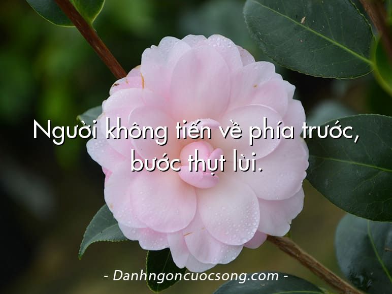 Người không tiến về phía trước, bước thụt lùi.