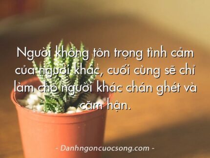 Người không tôn trọng tình cảm của người khác, cuối cùng sẽ chỉ làm cho người khác chán ghét và căm hận.