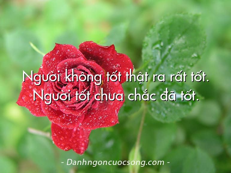 Người không tốt thật ra rất tốt. Người tốt chưa chắc đã tốt.