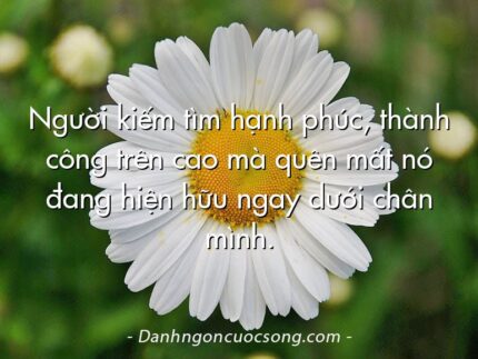Người kiếm tìm hạnh phúc, thành công trên cao mà quên mất nó đang hiện hữu ngay dưới chân mình.