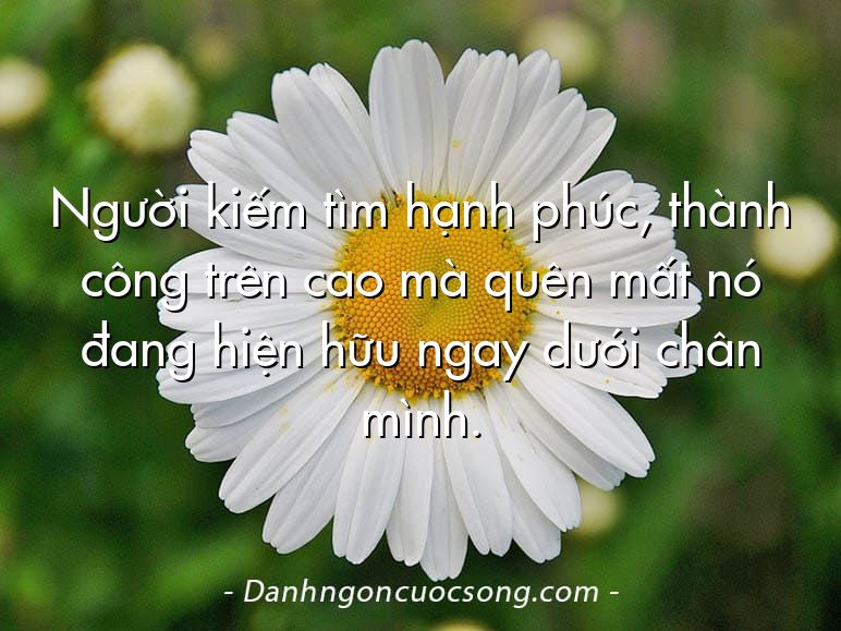 Người kiếm tìm hạnh phúc, thành công trên cao mà quên mất nó đang hiện hữu ngay dưới chân mình.
