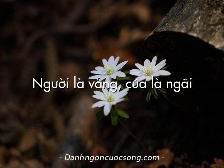 Người là vàng, của là ngãi