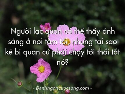 Người lạc quan có thể thấy ánh sáng ở nơi tăm tối, nhưng tại sao kẻ bi quan cứ phải chạy tới thổi tắt nó?