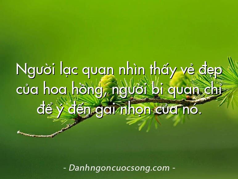 Người lạc quan nhìn thấy vẻ đẹp của hoa hồng, người bi quan chỉ để ý đến gai nhọn của nó.