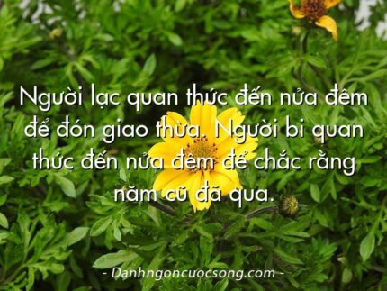 Người lạc quan thức đến nửa đêm để đón giao thừa. Người bi quan thức đến nửa đêm để chắc rằng năm cũ đã qua.