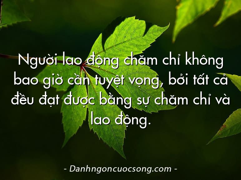 Người lao động chăm chỉ không bao giờ cần tuyệt vọng, bởi tất cả đều đạt được bằng sự chăm chỉ và lao động.