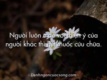 Người luôn e dè với thiện ý của người khác thì hết thuốc cứu chữa.