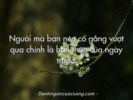 Người mà bạn nên cố gắng vượt qua chính là bản thân của ngày trước.