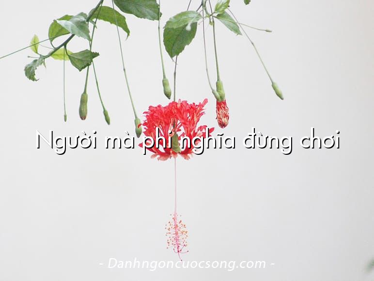Người mà phi nghĩa đừng chơi