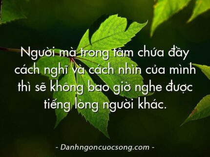 Người mà trong tâm chứa đầy cách nghĩ và cách nhìn của mình thì sẽ không bao giờ nghe được tiếng lòng người khác.
