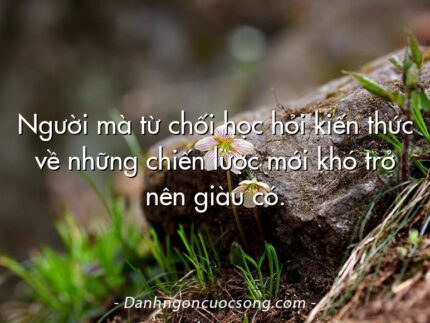 Người mà từ chối học hỏi kiến thức về những chiến lược mới khó trở nên giàu có.