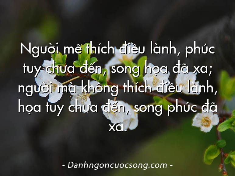 Người mê thích điều lành, phúc tuy chưa đến, song họa đã xa; người mà không thích điều lành, họa tuy chưa đến, song phúc đã xa.