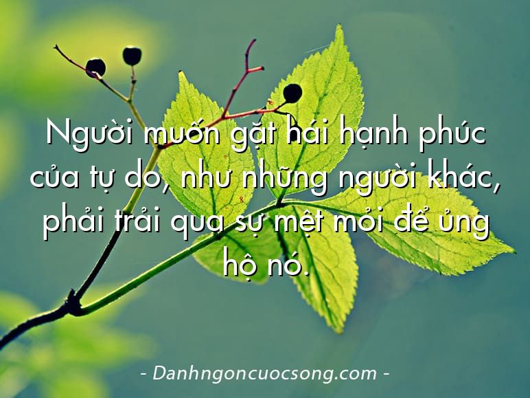 Người muốn gặt hái hạnh phúc của tự do, như những người khác, phải trải qua sự mệt mỏi để ủng hộ nó.