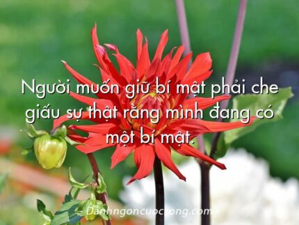 Người muốn giữ bí mật phải che giấu sự thật rằng mình đang có một bí mật.