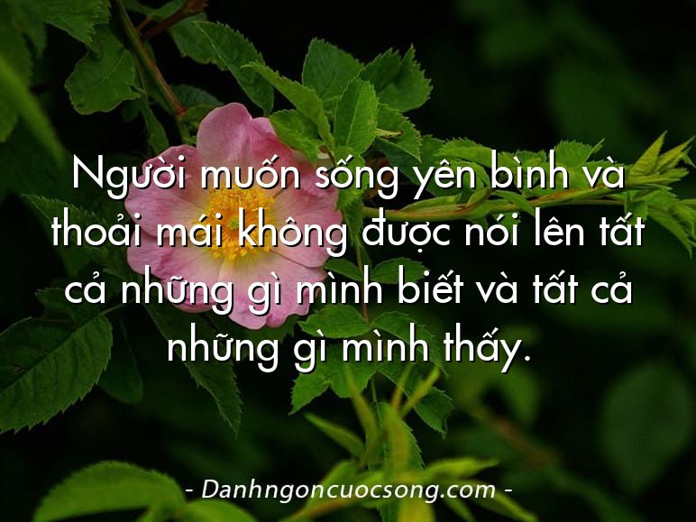 Người muốn sống yên bình và thoải mái không được nói lên tất cả những gì mình biết và tất cả những gì mình thấy.