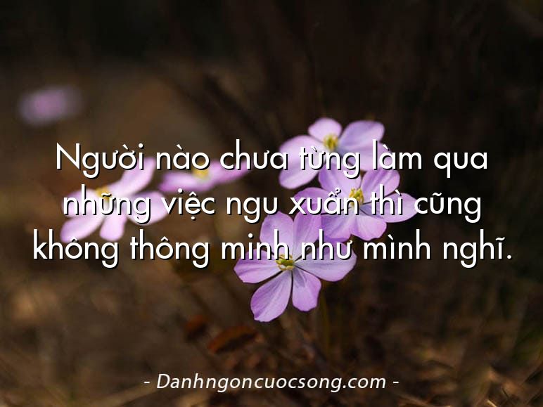 Người nào chưa từng làm qua những việc ngu xuẩn thì cũng không thông minh như mình nghĩ.