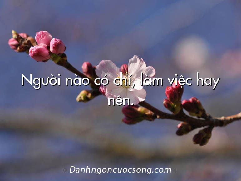Người nào có chí, làm việc hay nên.