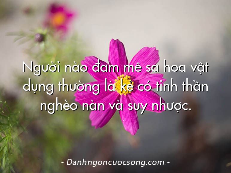 Người nào đam mê sa hoa vật dụng thường là kẻ có tinh thần nghèo nàn và suy nhược.