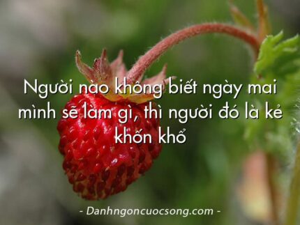 Người nào không biết ngày mai mình sẽ làm gì, thì người đó là kẻ khốn khổ