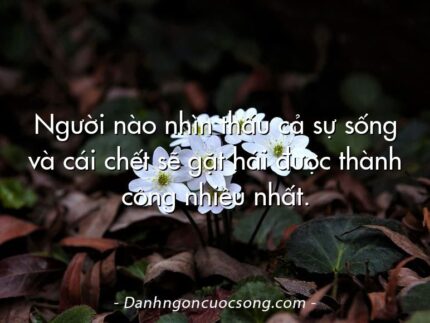 Người nào nhìn thấu cả sự sống và cái chết sẽ gặt hái được thành công nhiều nhất.
