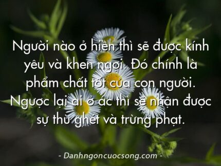 Người nào ở hiền thì sẽ được kính yêu và khen ngợi. Đó chính là phẩm chất tốt của con người. Ngược lại ai ở ác thì sẽ nhận được sự thù ghét và trừng phạt.