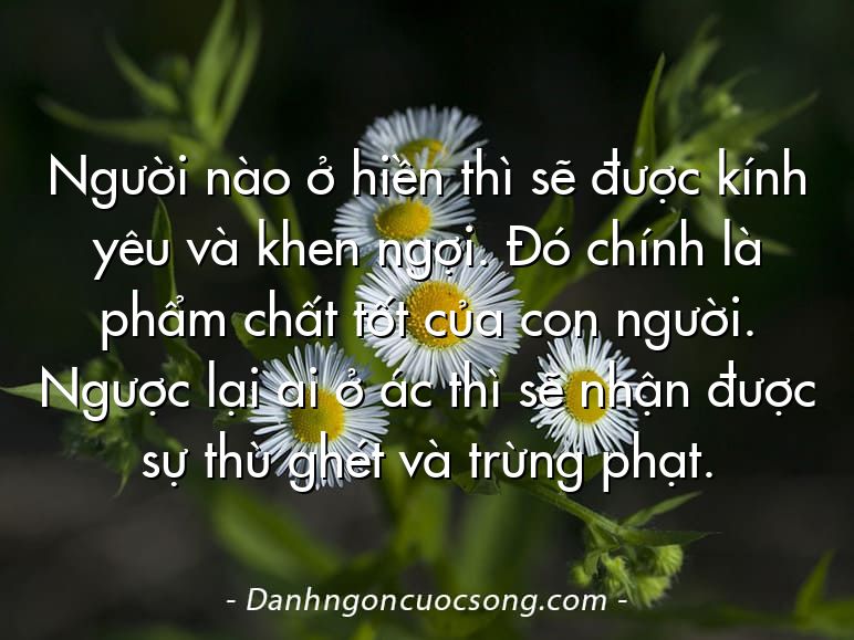 Người nào ở hiền thì sẽ được kính yêu và khen ngợi. Đó chính là phẩm chất tốt của con người. Ngược lại ai ở ác thì sẽ nhận được sự thù ghét và trừng phạt.