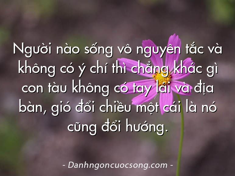 Người nào sống vô nguyên tắc và không có ý chí thì chẳng khác gì con tàu không có tay lái và địa bàn, gió đổi chiều một cái là nó cũng đổi hướng.  