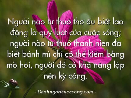 Người nào từ thuở thơ ấu biết lao động là quy luật của cuộc sống; người nào từ thuở thanh niên đã biết bánh mì chỉ có thể kiếm bằng mồ hôi, người đó có khả năng lập nên kỳ công.