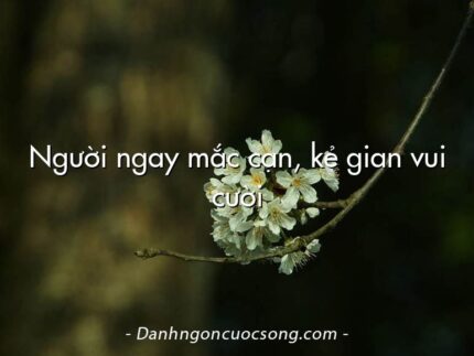 Người ngay mắc cạn, kẻ gian vui cười