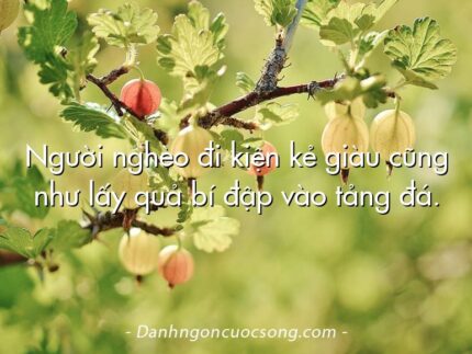 Người nghèo đi kiện kẻ giàu cũng như lấy quả bí đập vào tảng đá.