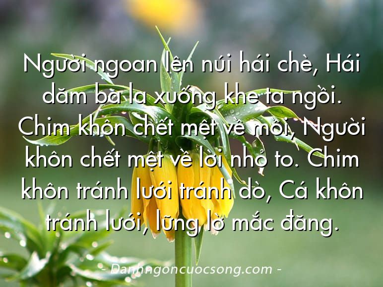 Người ngoan lên núi hái chè, Hái dăm ba la xuống khe ta ngồi. Chim khôn chết mệt về mồi, Người khôn chết mệt về lời nhỏ to. Chim khôn tránh lưới tránh dò, Cá khôn tránh lưới, lững lờ mắc đăng.
