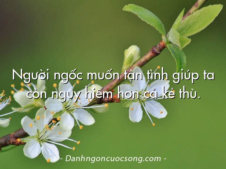 Người ngốc muốn tận tình giúp ta còn nguy hiểm hơn cả kẻ thù.