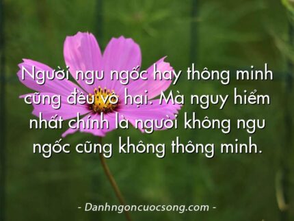 Người ngu ngốc hay thông minh cũng đều vô hại. Mà nguy hiểm nhất chính là ngưòi không ngu ngốc cũng không thông minh.