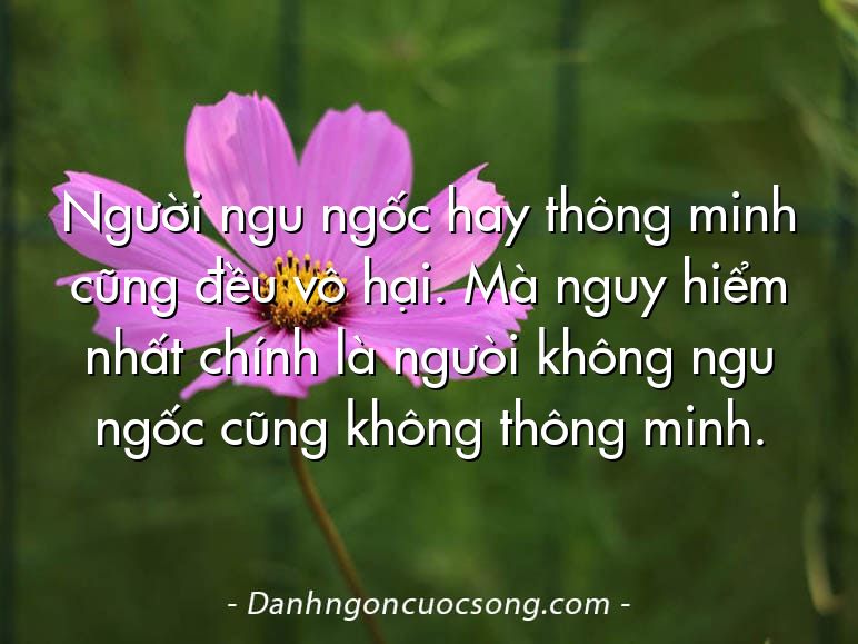Người ngu ngốc hay thông minh cũng đều vô hại. Mà nguy hiểm nhất chính là ngưòi không ngu ngốc cũng không thông minh.