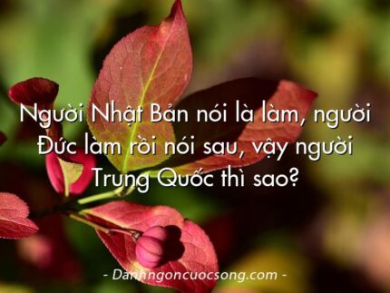 Người Nhật Bản nói là làm, người Đức làm rồi nói sau, vậy người Trung Quốc thì sao?