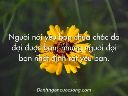 Người nói yêu bạn chưa chắc đã đợi được bạn, nhưng người đợi bạn nhất định rất yêu bạn.
