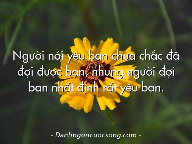 Người nói yêu bạn chưa chắc đã đợi được bạn, nhưng người đợi bạn nhất định rất yêu bạn.
