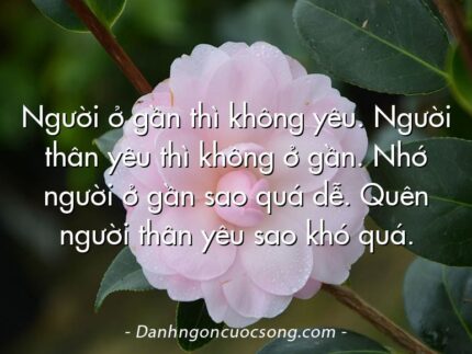 Người ở gần thì không yêu. Người thân yêu thì không ở gần. Nhớ người ở gần sao quá dễ. Quên người thân yêu sao khó quá.