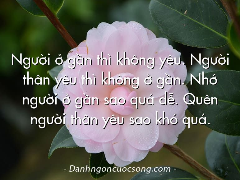 Người ở gần thì không yêu. Người thân yêu thì không ở gần. Nhớ người ở gần sao quá dễ. Quên người thân yêu sao khó quá.