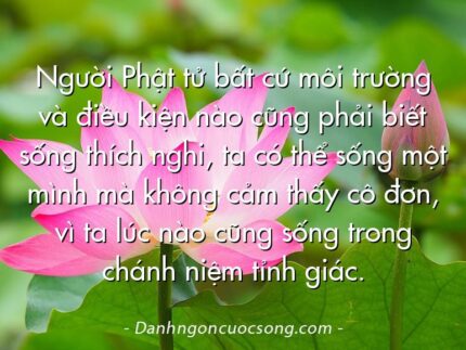Người Phật tử bất cứ môi trường và điều kiện nào cũng phải biết sống thích nghi, ta có thể sống một mình mà không cảm thấy cô đơn, vì ta lúc nào cũng sống trong chánh niệm tỉnh giác.