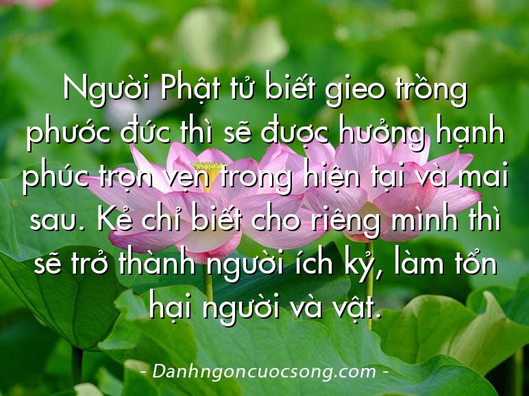 Người Phật tử biết gieo trồng phước đức thì sẽ được hưởng hạnh phúc trọn vẹn trong hiện tại và mai sau. Kẻ chỉ biết cho riêng mình thì sẽ trở thành người ích kỷ, làm tổn hại người và vật.