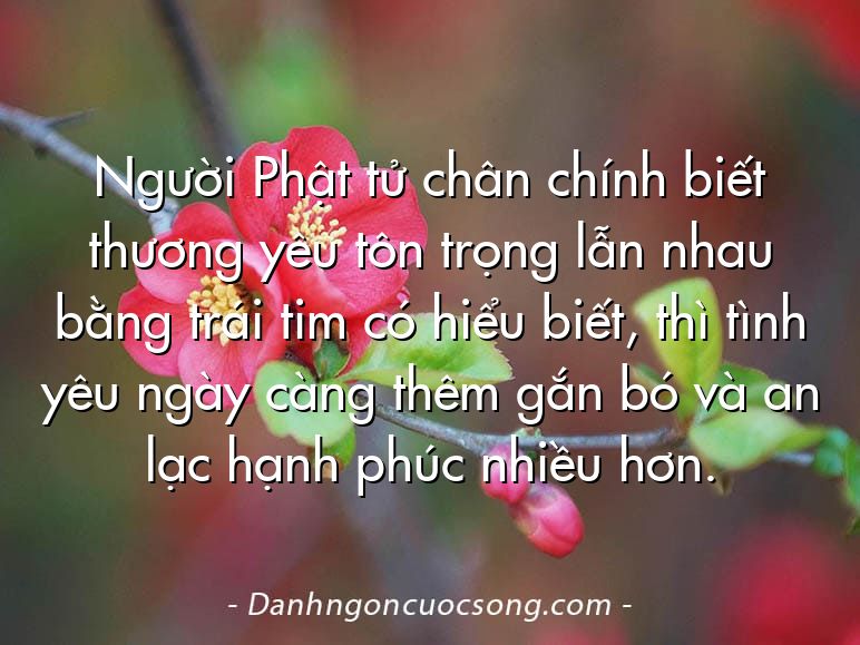 Người Phật tử chân chính biết thương yêu tôn trọng lẫn nhau bằng trái tim có hiểu biết, thì tình yêu ngày càng thêm gắn bó và an lạc hạnh phúc nhiều hơn.