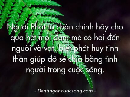 Người Phật tử chân chính hãy cho qua hết mọi đam mê có hại đến người và vật, biết phát huy tinh thần giúp đỡ sẻ chia bằng tình người trong cuộc sống.