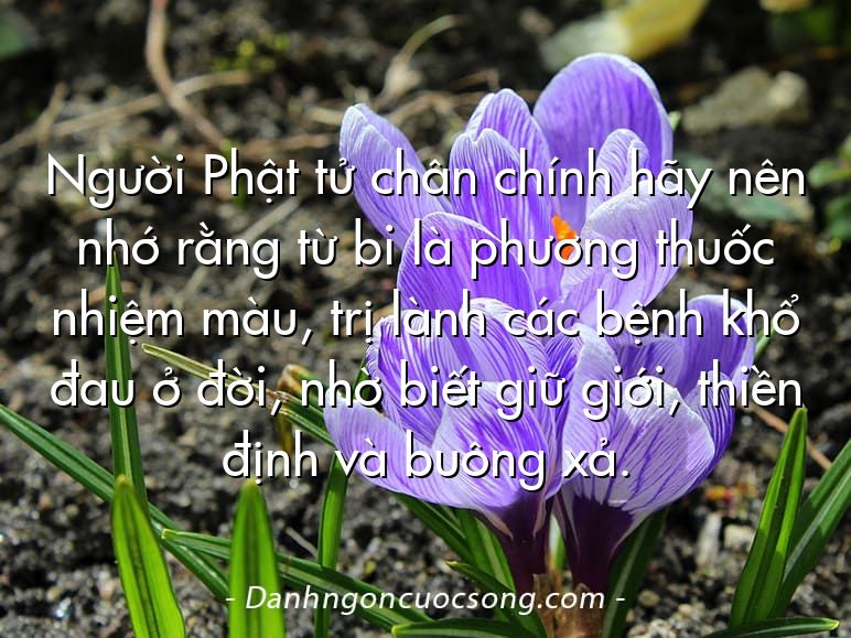 Người Phật tử chân chính hãy nên nhớ rằng từ bi là phương thuốc nhiệm màu, trị lành các bệnh khổ đau ở đời, nhờ biết giữ giới, thiền định và buông xả.