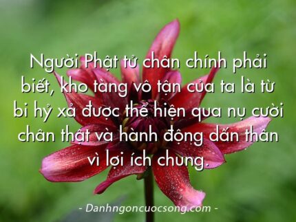 Người Phật tử chân chính phải biết, kho tàng vô tận của ta là từ bi hỷ xả được thể hiện qua nụ cười chân thật và hành động dấn thân vì lợi ích chung.