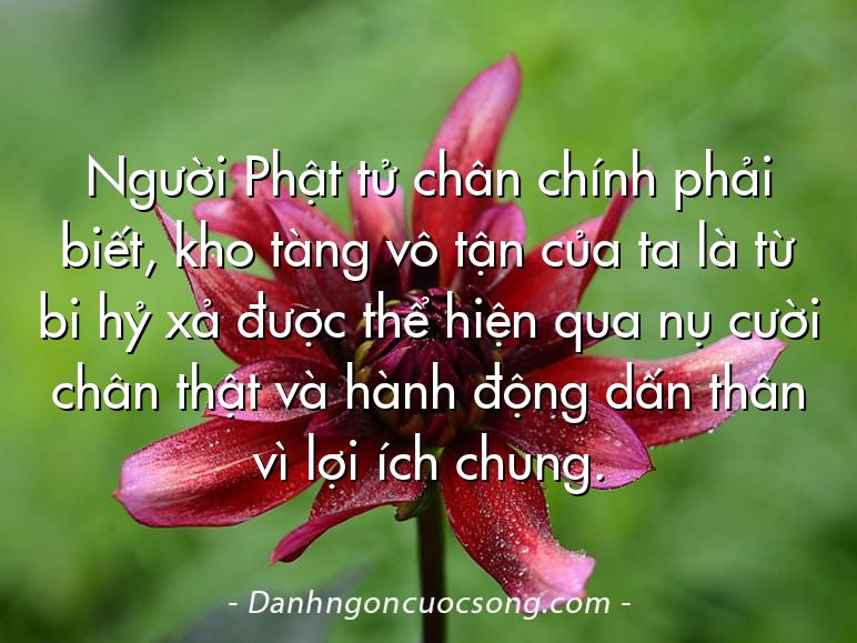 Người Phật tử chân chính phải biết, kho tàng vô tận của ta là từ bi hỷ xả được thể hiện qua nụ cười chân thật và hành động dấn thân vì lợi ích chung.