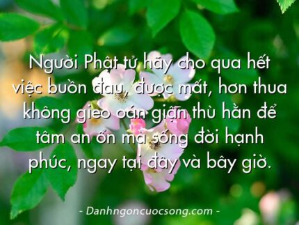Người Phật tử hãy cho qua hết việc buồn đau, được mất, hơn thua không gieo oán giận thù hằn để tâm an ổn mà sống đời hạnh phúc, ngay tại đây và bây giờ.