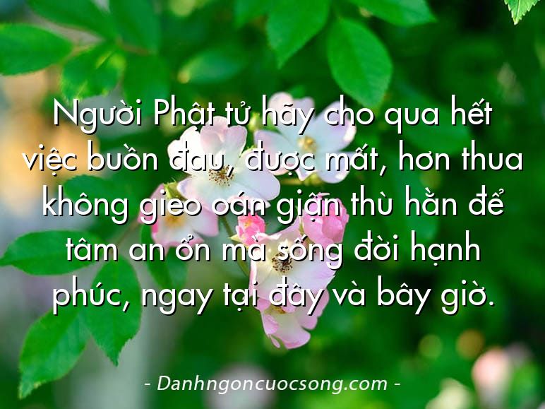 Người Phật tử hãy cho qua hết việc buồn đau, được mất, hơn thua không gieo oán giận thù hằn để tâm an ổn mà sống đời hạnh phúc, ngay tại đây và bây giờ.